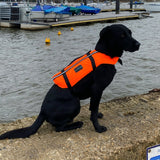 Typhoon Totland Dog Buoyancy Aid - Orange / Black